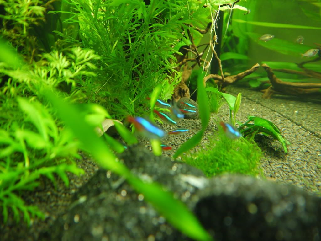 P1000144.jpg