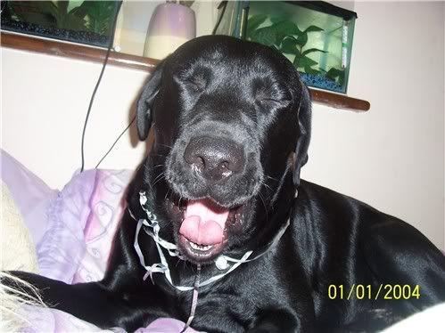 20060601tiredry.jpg