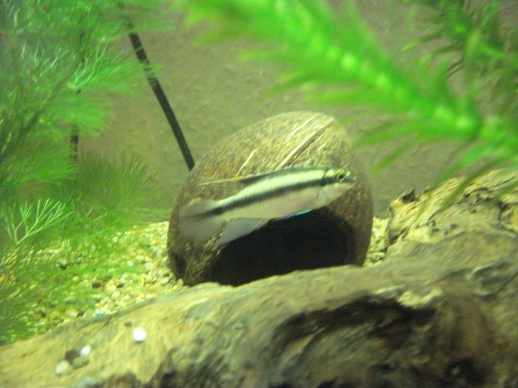 DSCF4800.jpg