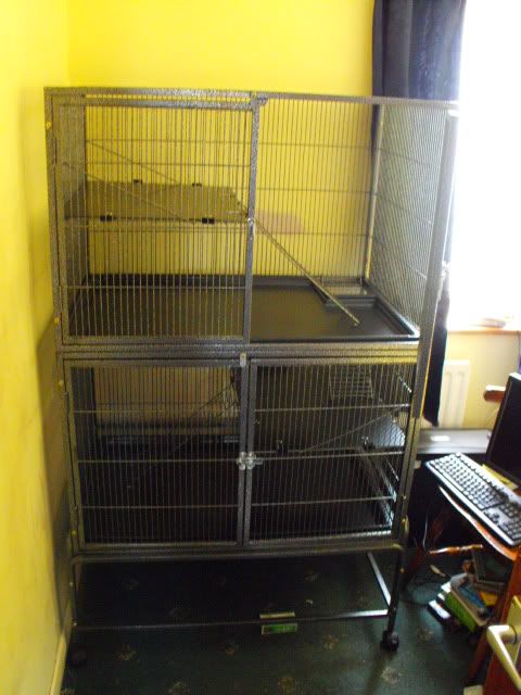 2010_0311newcage0004.jpg