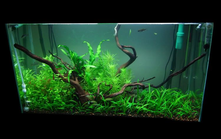 Frontresize.jpg
