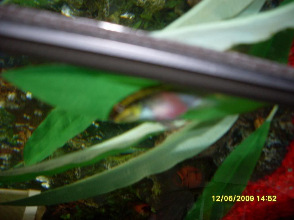 776b4105.jpg