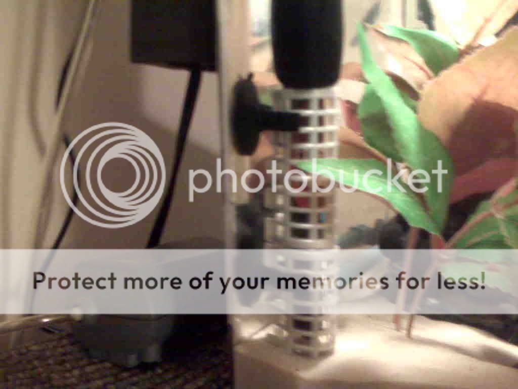 IMG00075.jpg