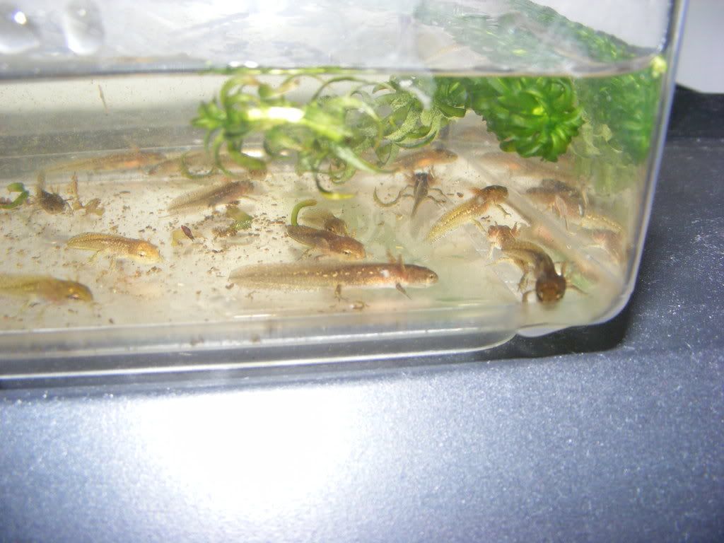 DSCF0653.jpg