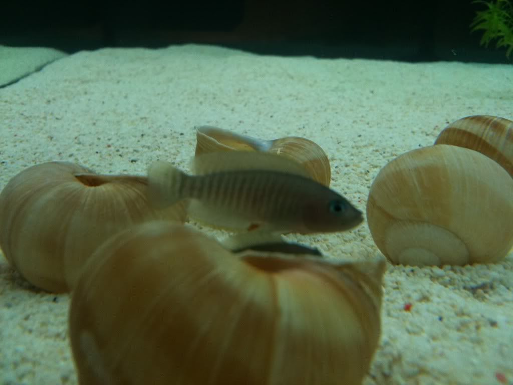 IMG_0428.jpg
