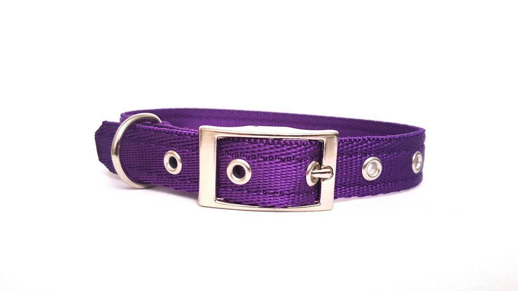 purplemetalbuckle_zps41w38nqk.jpg