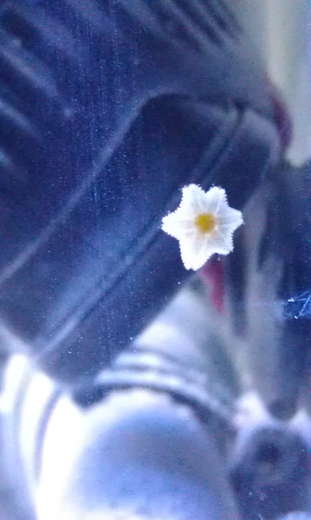 IMAG0553.jpg