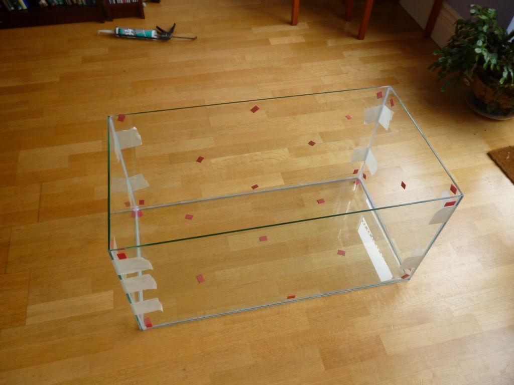P1000419.jpg