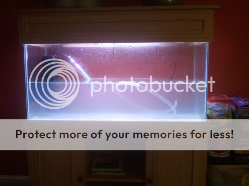 2012-01-31184521.jpg