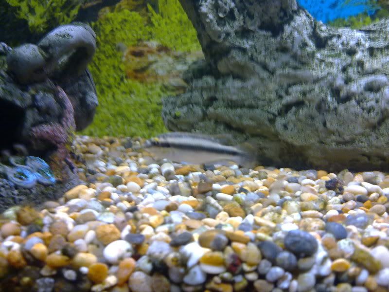 25102009138.jpg