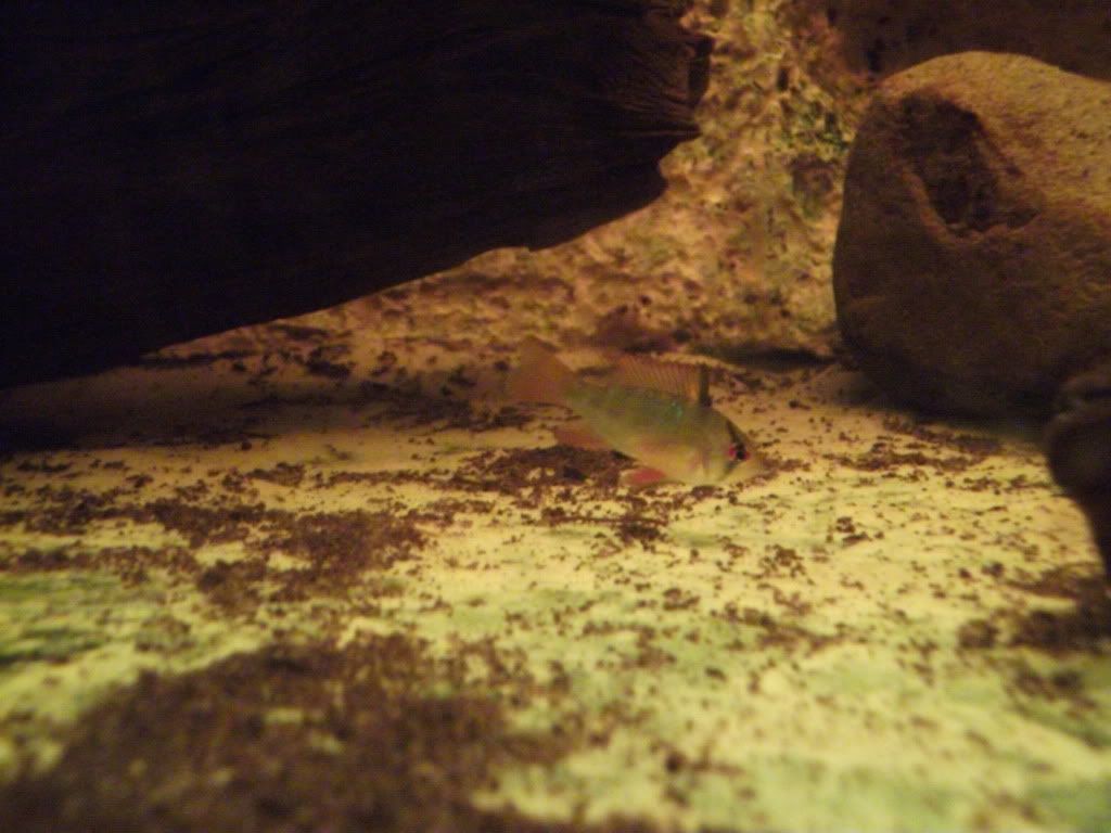 DSCF0510.jpg