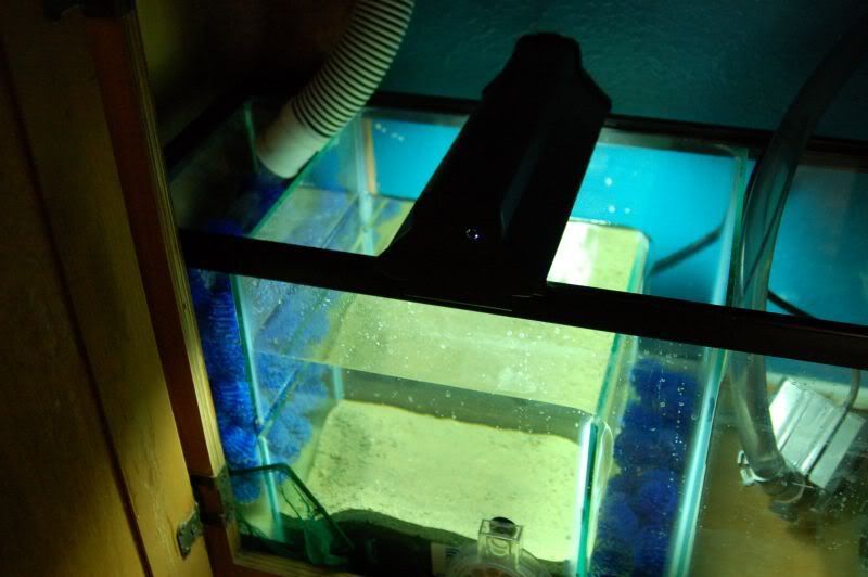 aquarium005.jpg