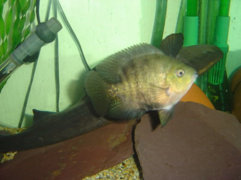 DSC02503.jpg
