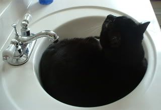 MikeintheSink5.jpg