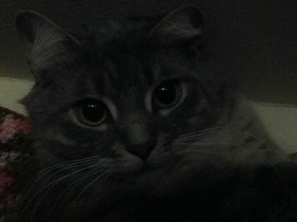 iphonepix046.jpg