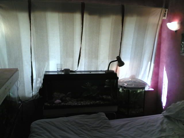 28042006.jpg