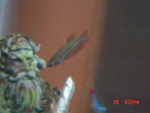 DSC01649.jpg