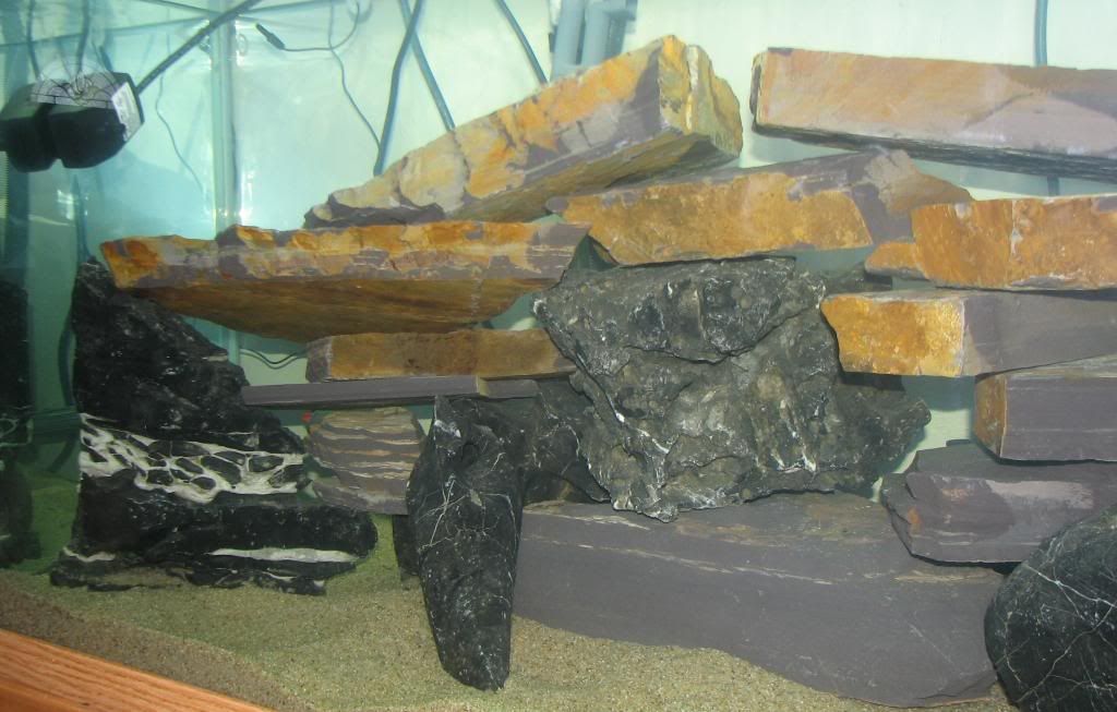 FishTank015.jpg