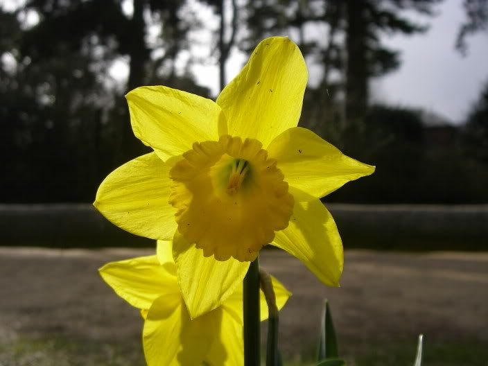2april2006019.jpg