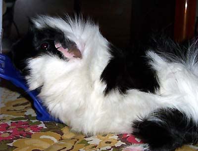 000_80641.jpg