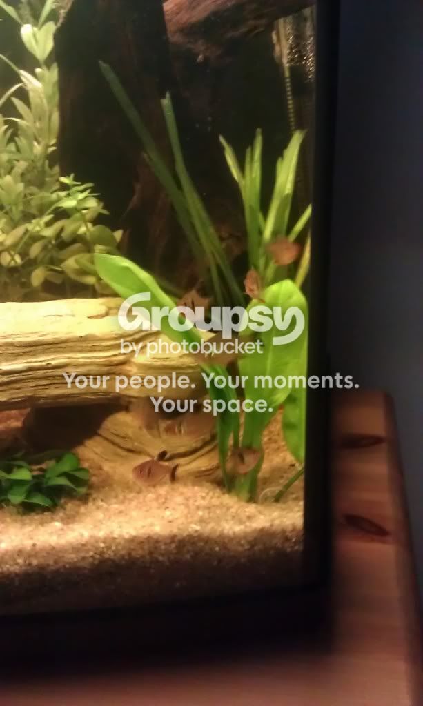 IMAG0811.jpg