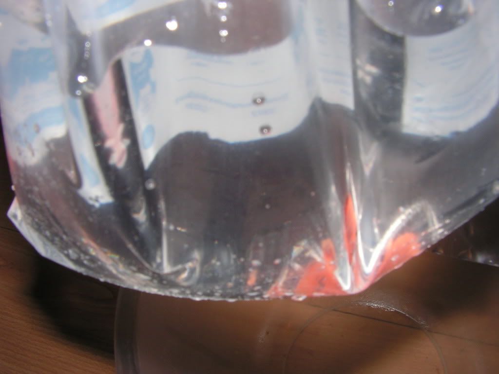 PICT0560.jpg