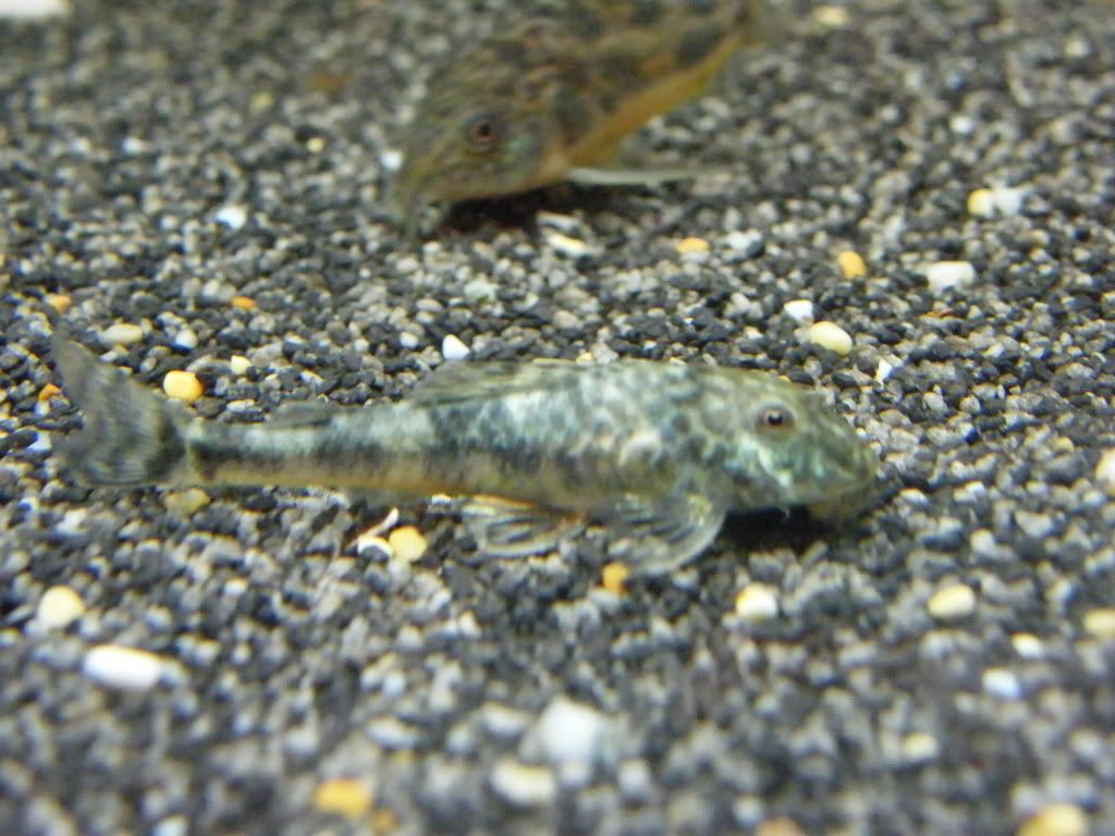 DSCF4342.jpg