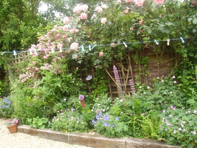 garden013.jpg