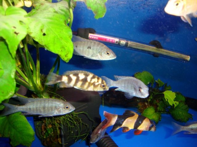 DSC01367.jpg