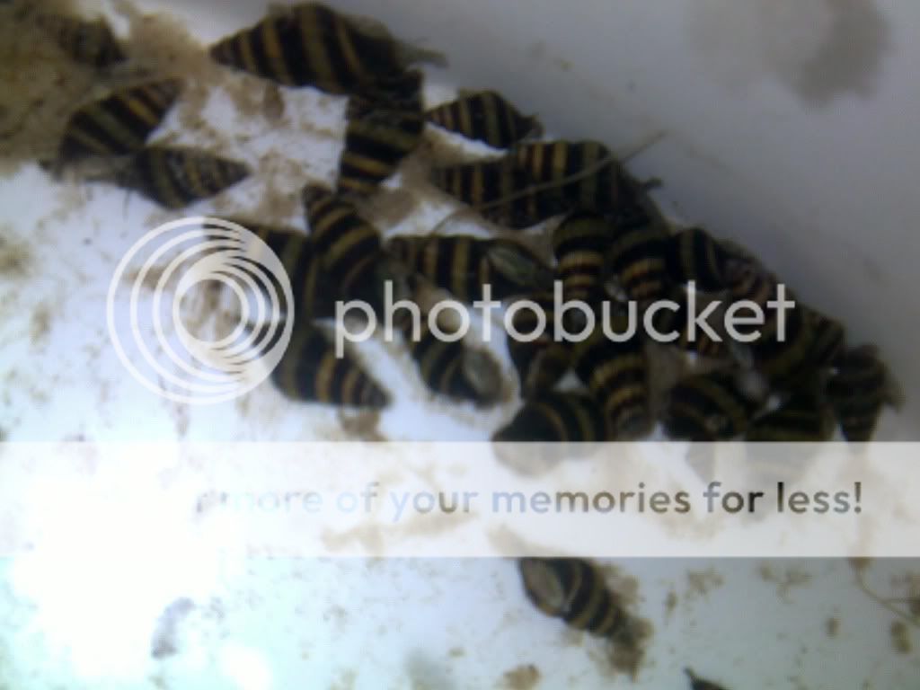 27032011084.jpg