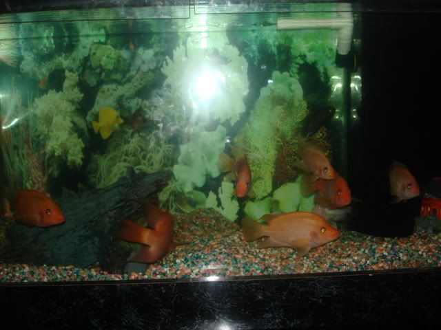 DSC01167.jpg