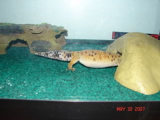 tank2003.jpg