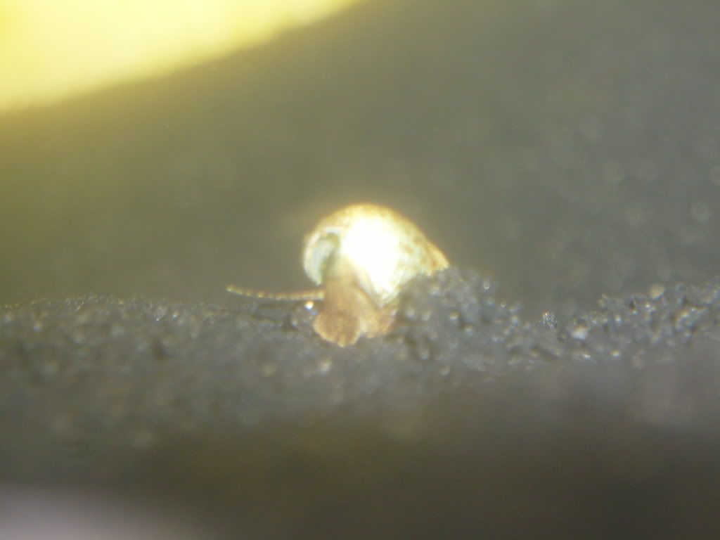 S7002527.jpg