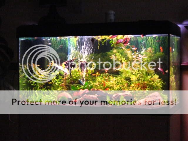 009-10.jpg