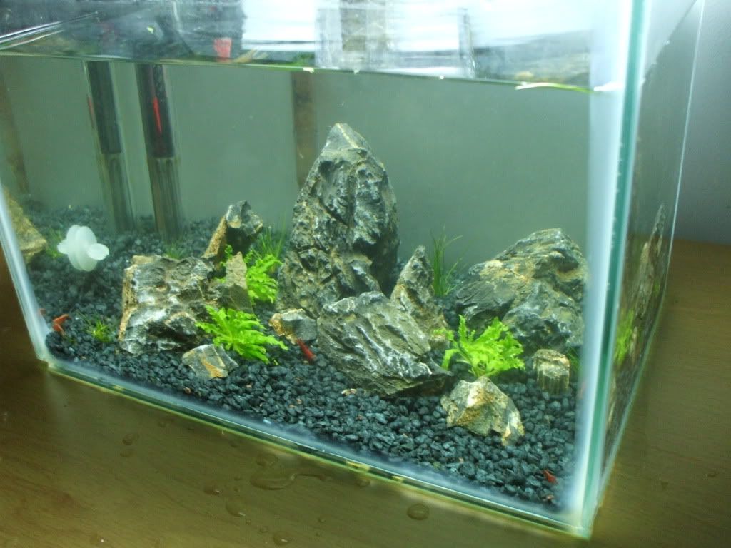 DSCF9739.jpg