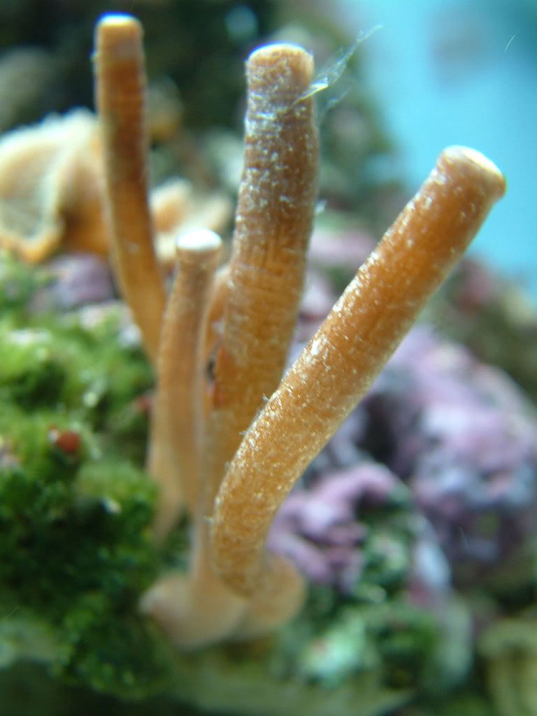 DSCF0133.jpg