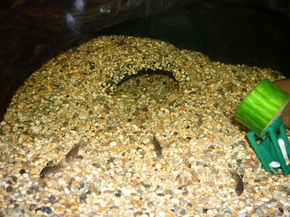 GravelCaveCorys.jpg