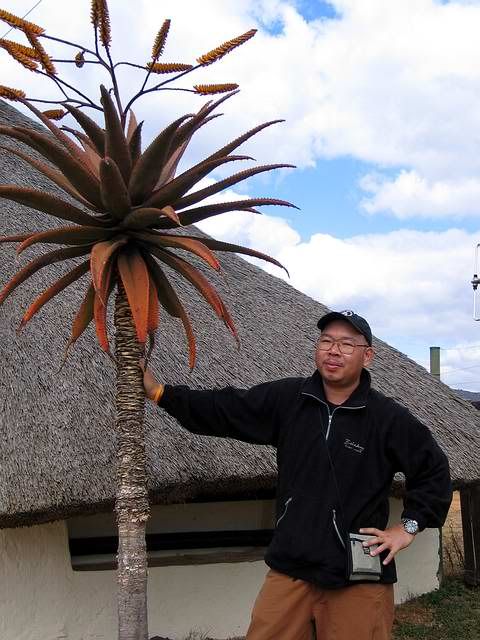 Me_Aloe.jpg