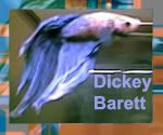 dickey.jpg