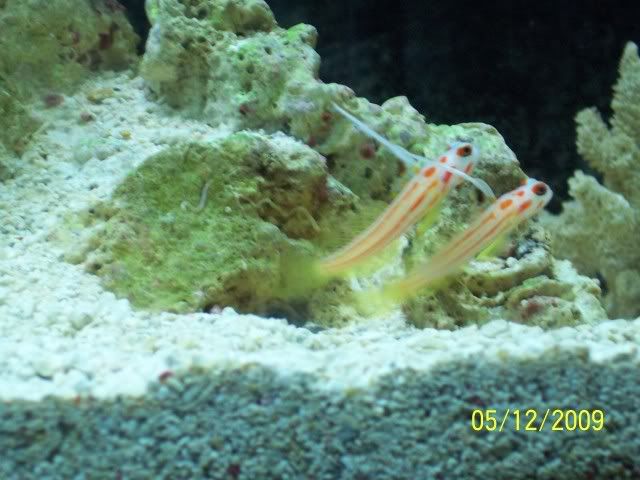 100_6300.jpg