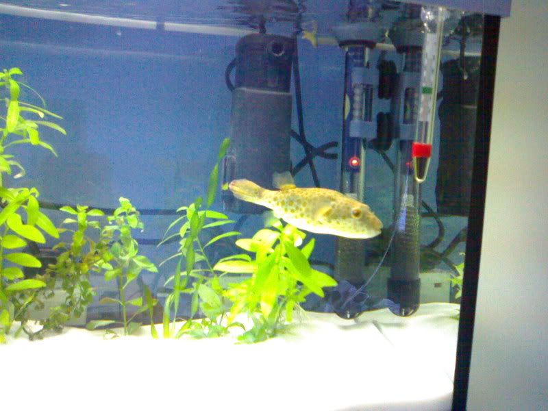 27022007053.jpg