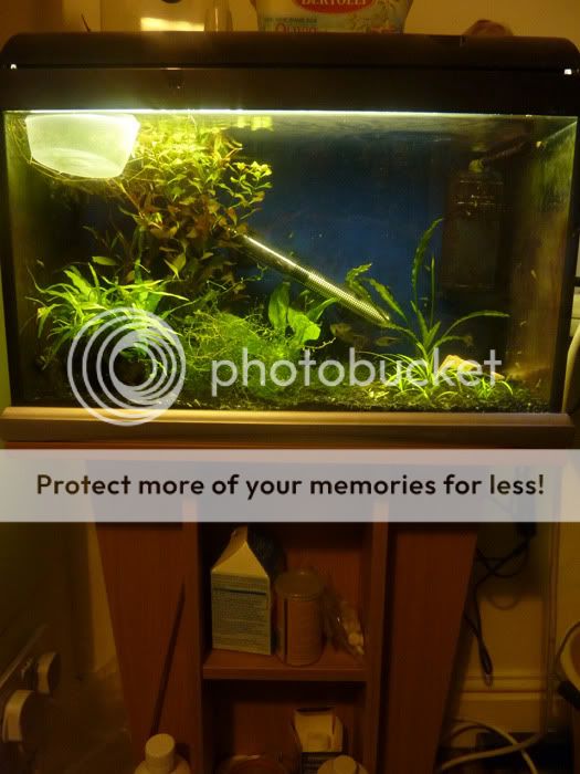 35_litre_010211.jpg