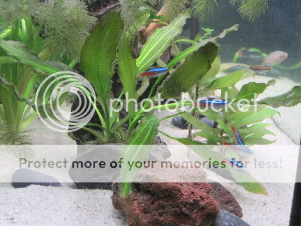 IMG_2827.jpg