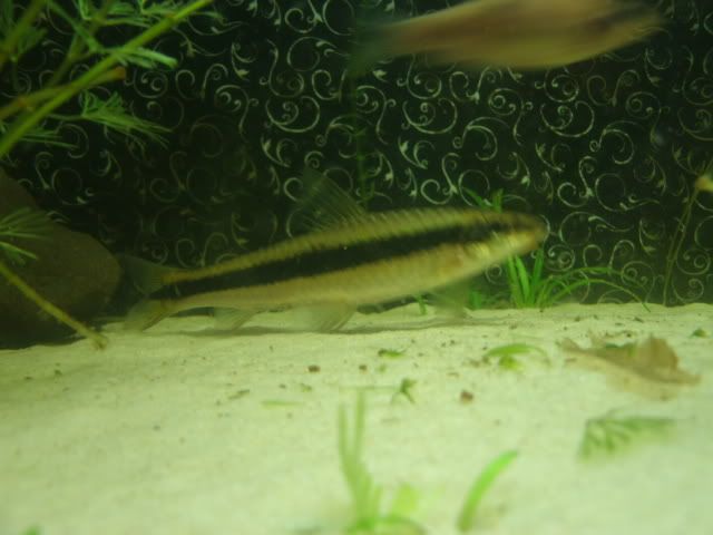 GEDC0353.jpg