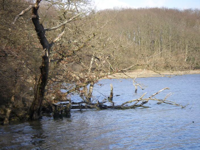 2april2006007.jpg