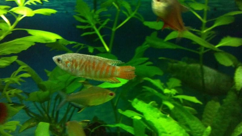 2012-09-28_22-12-08_158.jpg