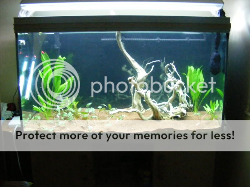 DSCF9267.jpg