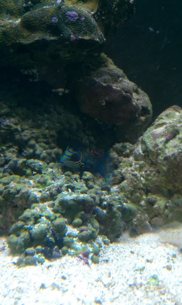 IMAG0158.jpg
