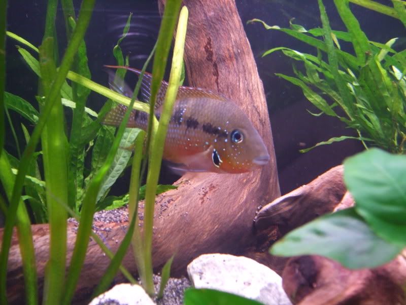 DSCF2124.jpg