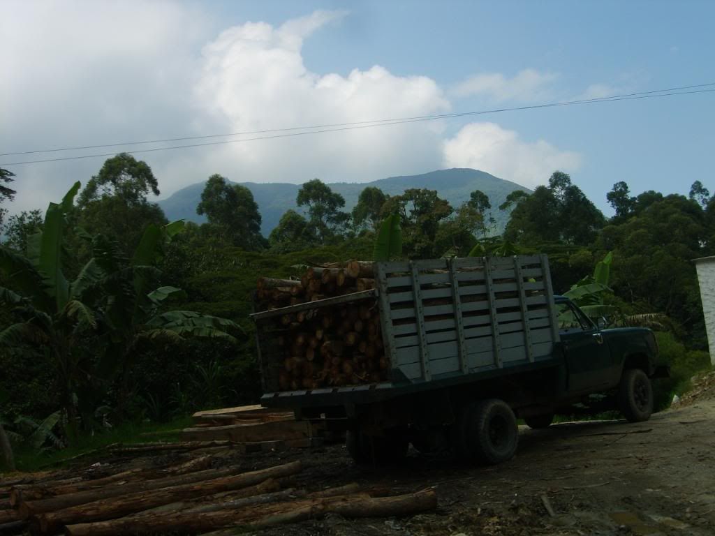 S5007777.jpg